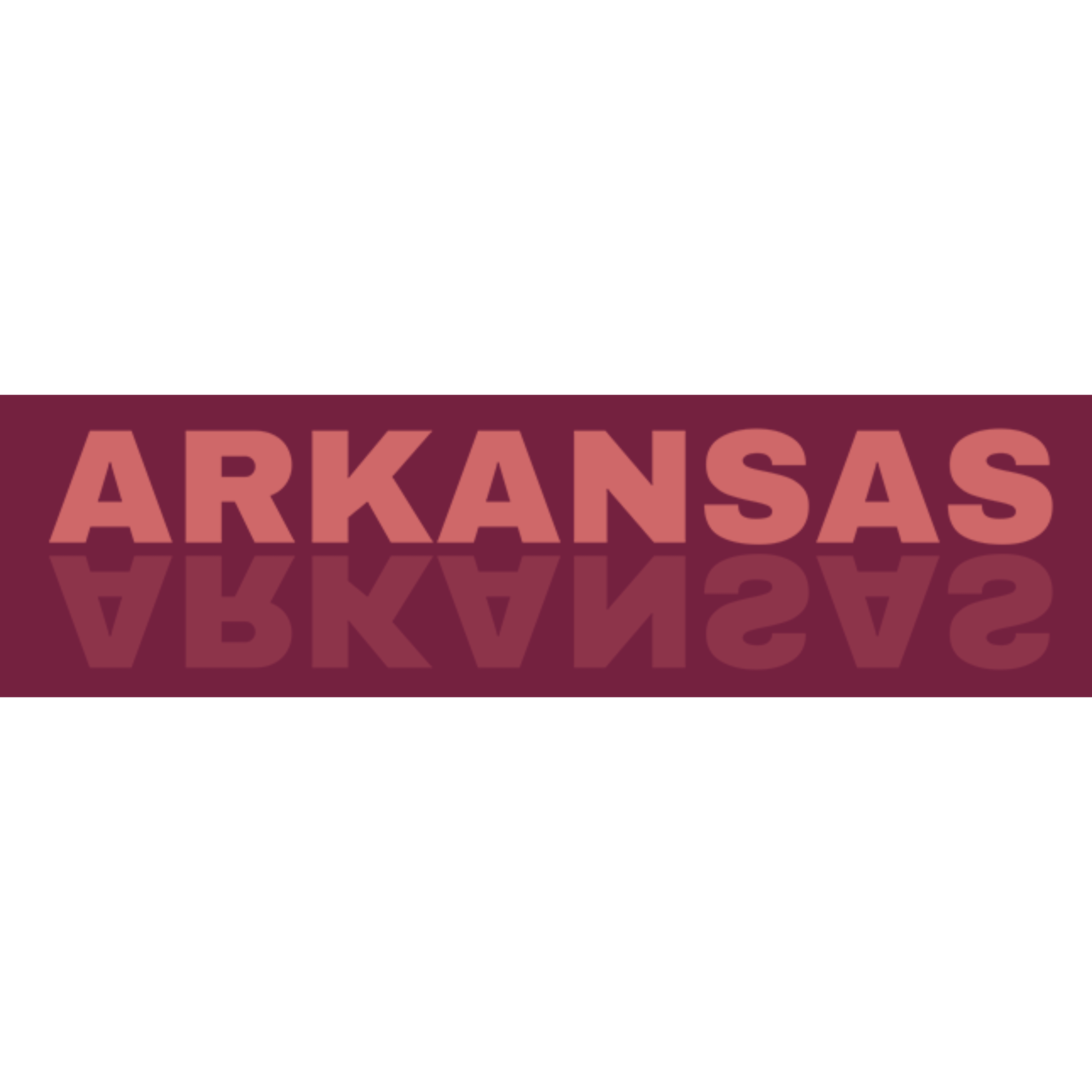 Arkansas Mirrored Tank Tops